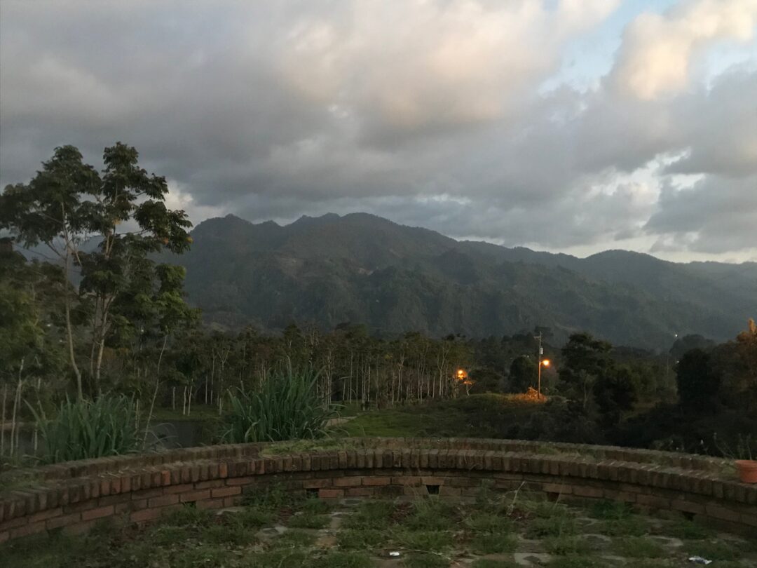 kava